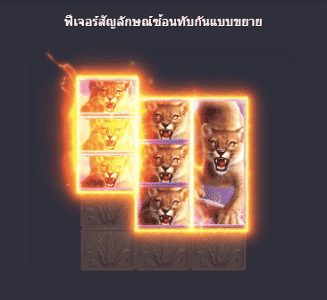 สล็อตออนไลน์ เว็บตรง ไม่ผ่านเอเย่นต์ ค่าย pg slot
