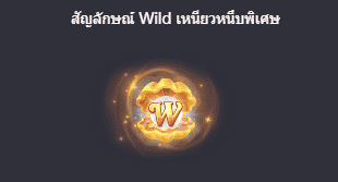 สล็อตออนไลน์