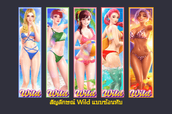 สล็อตออนไลน์ ใหม่ล่าสุด