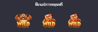 ฟรีเจอร์การหมุนฟรี สล็อตการเก็บเกี่ยวกราวด์ฮอก (Groundhog Harvest) - PG Slot