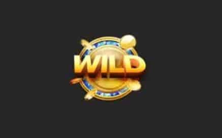 สัญลักษณ์พิเศษ เกมสล็อต Twinkle Ice - Nextspin