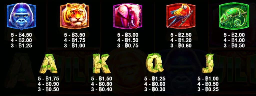 สัญลักษณ์และการจ่าย เกมสล็อต Jungle Gorilla – Pragmatic Play