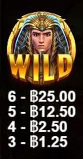 สัญลักษณ์ WILD เกมสล็อต Might Of Ra – Pragmatic Play