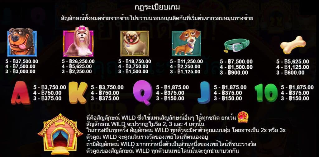 รีวิวสล็อต The Dog House Multihold ค่าย Pragmatic Play - 1